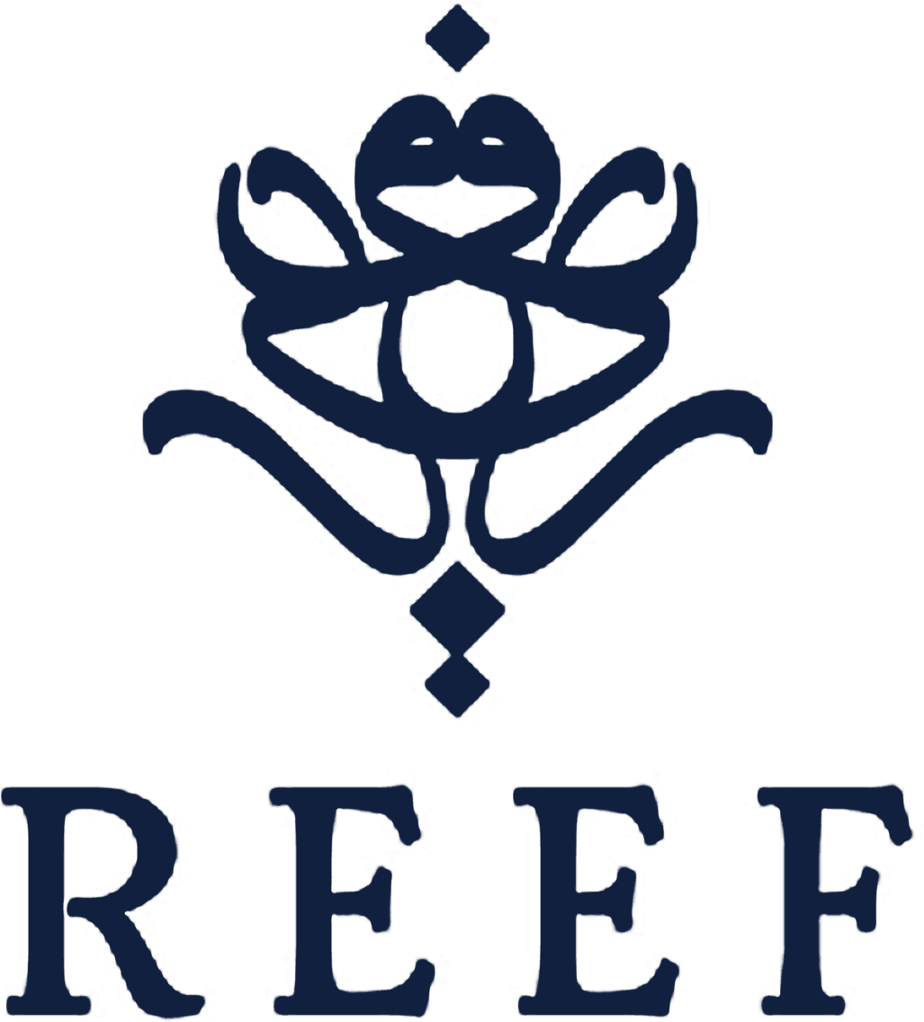 حملات تسويقية عطور ريف